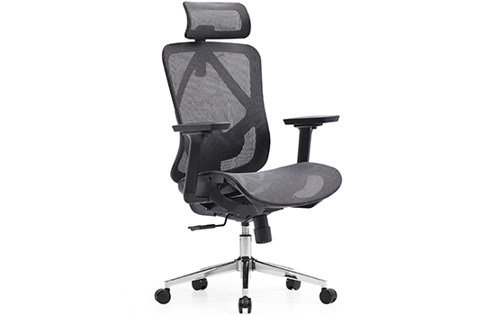 View_-_SFV22H2F__back_logo